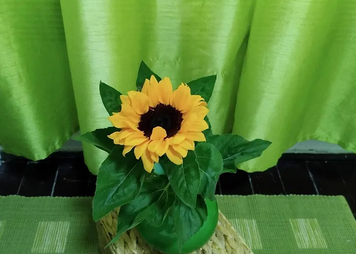 Appartement Stan Centar *